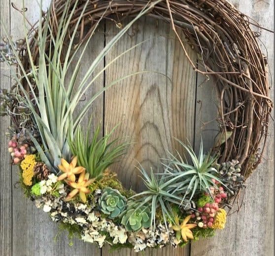 Living Heart Wreath Succulents / Air Plants / Dried Flowers / Grapevine 